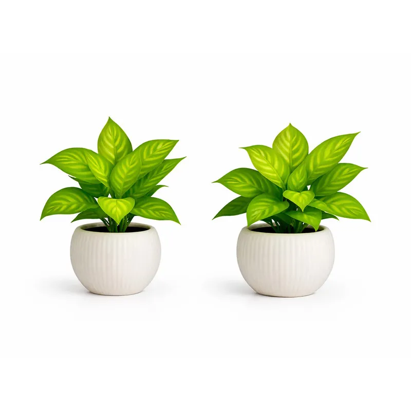 Artificial Potted Plant with Ceramic Pot | Mini Green Indoor Plant for Home Décor
