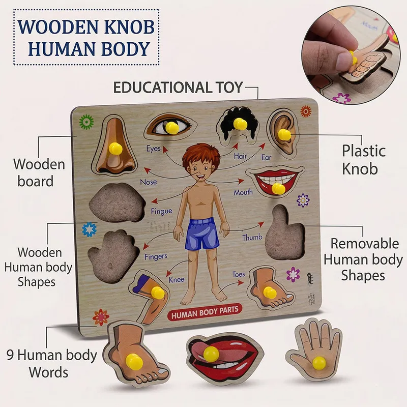 Wooden Human Body Parts Puzzle for Kids | Montessori Educational Knob Board Toy | Learning Anatomy Puzzle for Toddlers (3+ Years)